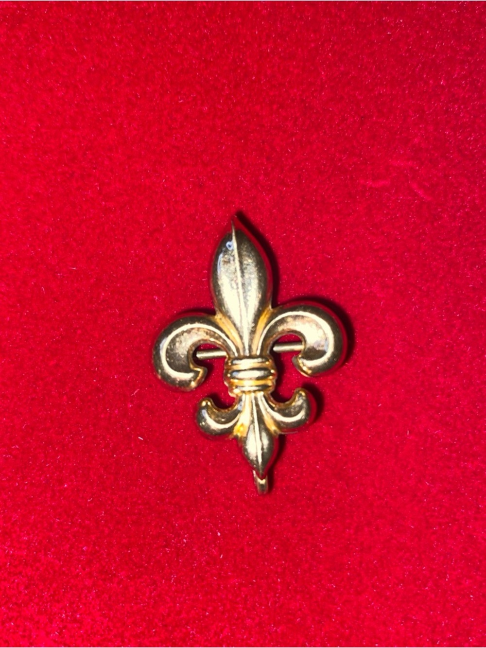 10k Gold Fleur-de-Lis Pin - Classic French Emblem Simmons